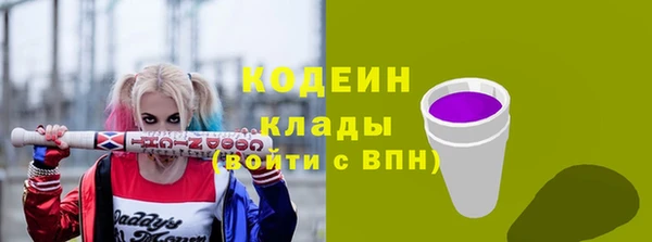 соль ск Бикин