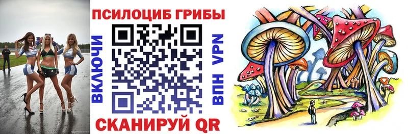 Галлюциногенные грибы Psilocybe  ОМГ ОМГ сайт  Дубовка 